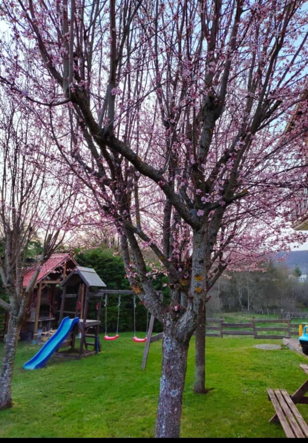 Apartamentos Goizeder Espinal-Auzperri Luaran gambar